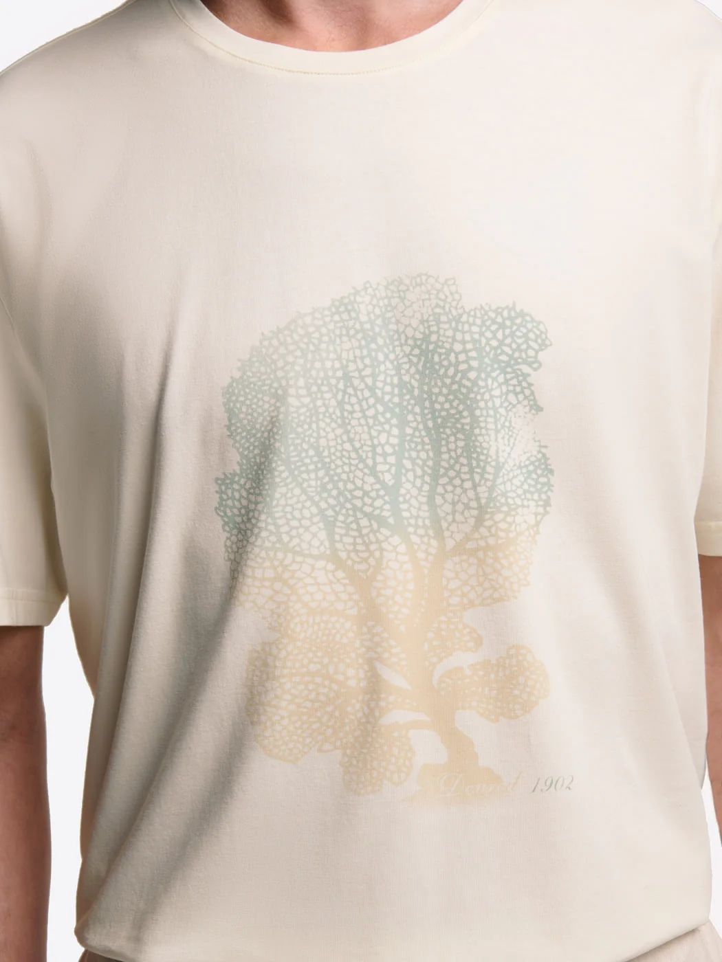 T-shirt col rond en coton - Image 5
